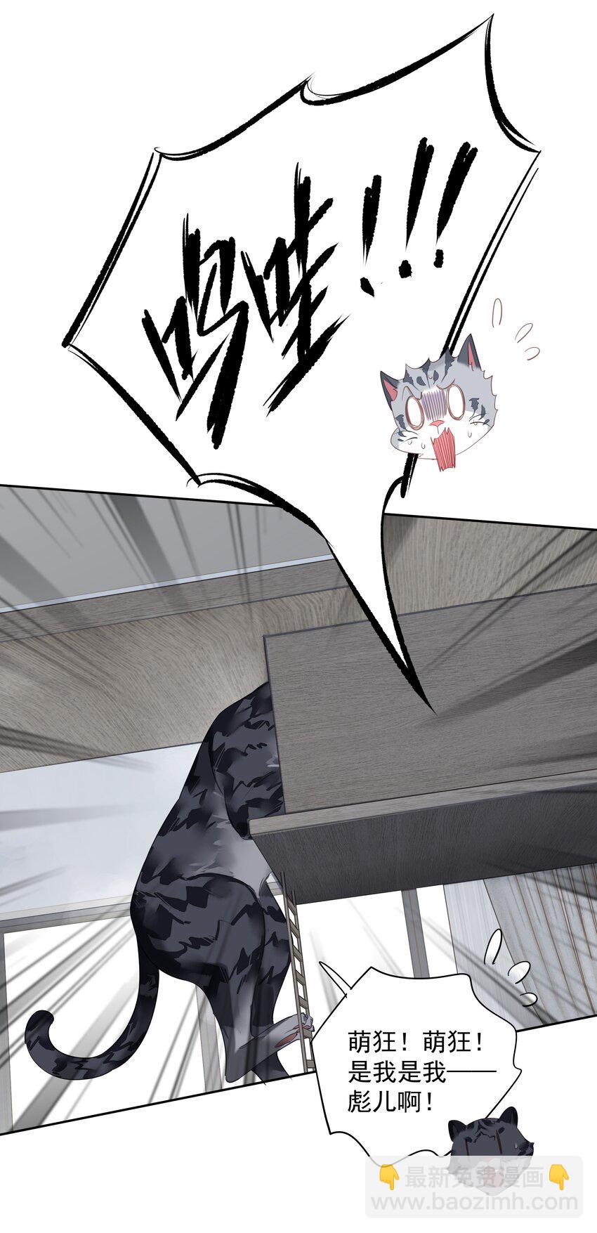 《早期驯服大猫的珍贵资料》054 狂萌！是我阿彪儿（番外） 第9页