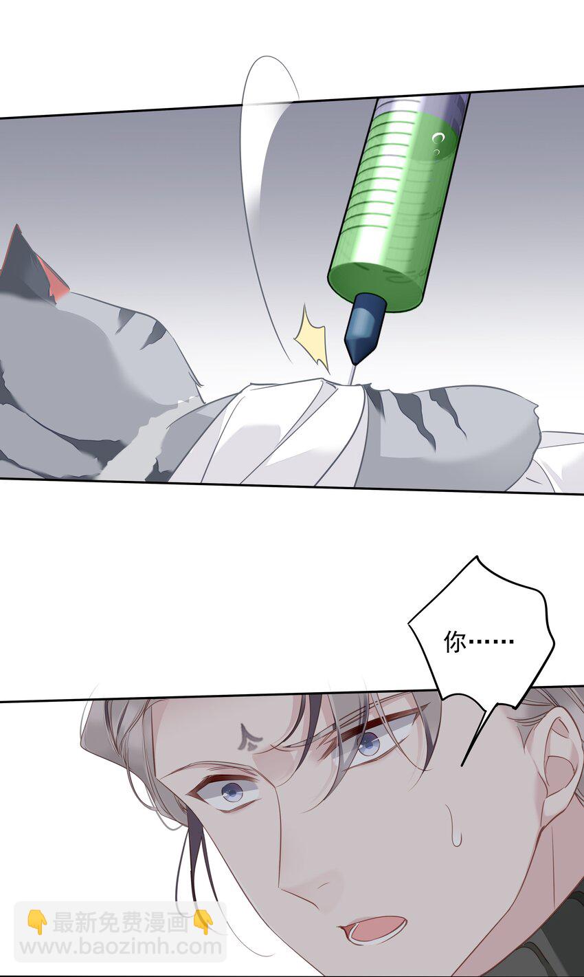 《早期驯服大猫的珍贵资料》055 阿脏化为人形了？！ 第19页