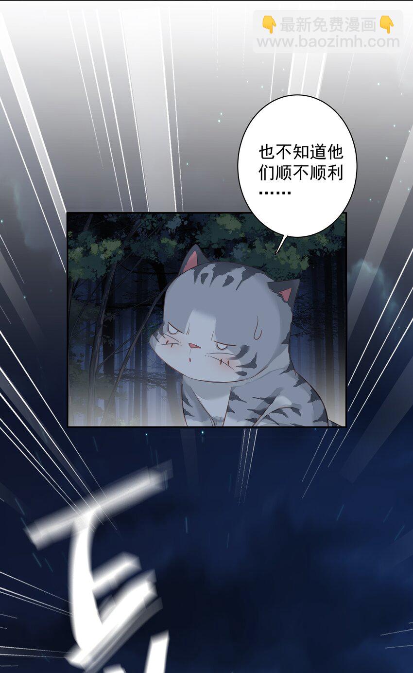 《早期驯服大猫的珍贵资料》060 遇袭 第12页