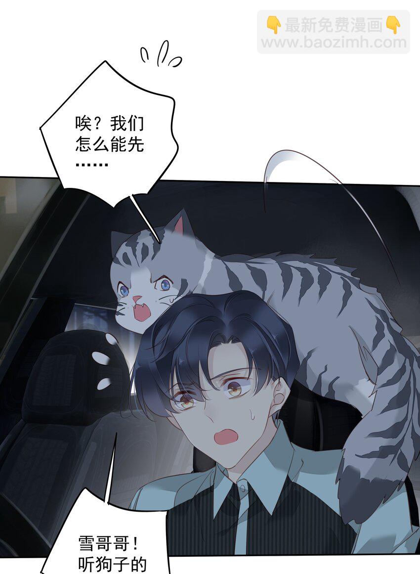 《早期驯服大猫的珍贵资料》060 遇袭 第15页