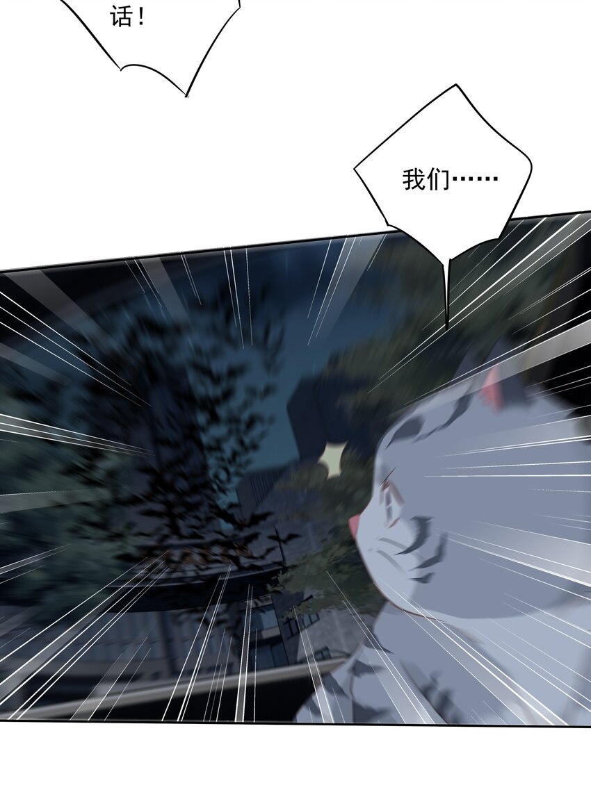 《早期驯服大猫的珍贵资料》060 遇袭 第16页