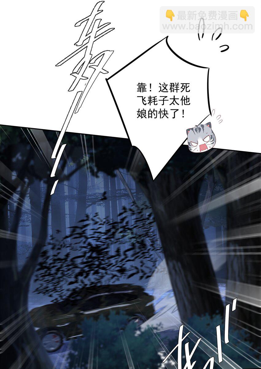 《早期驯服大猫的珍贵资料》060 遇袭 第18页
