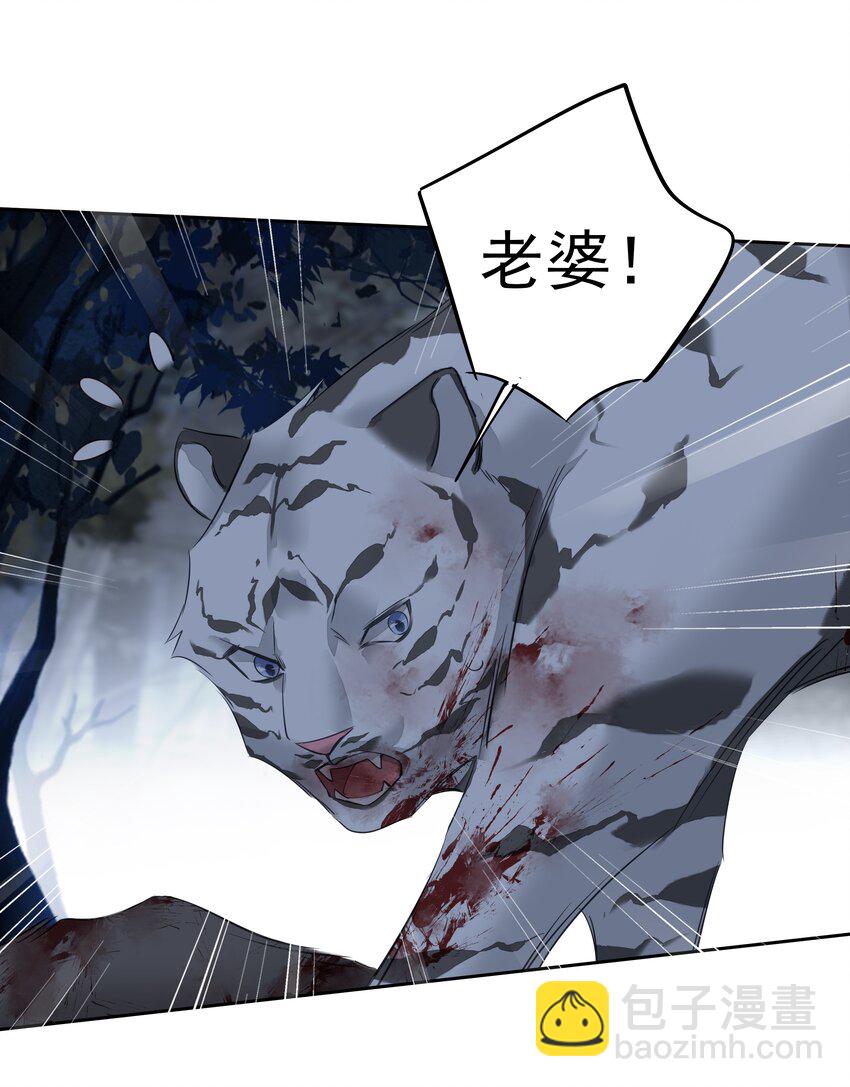 《早期驯服大猫的珍贵资料》060 遇袭 第32页