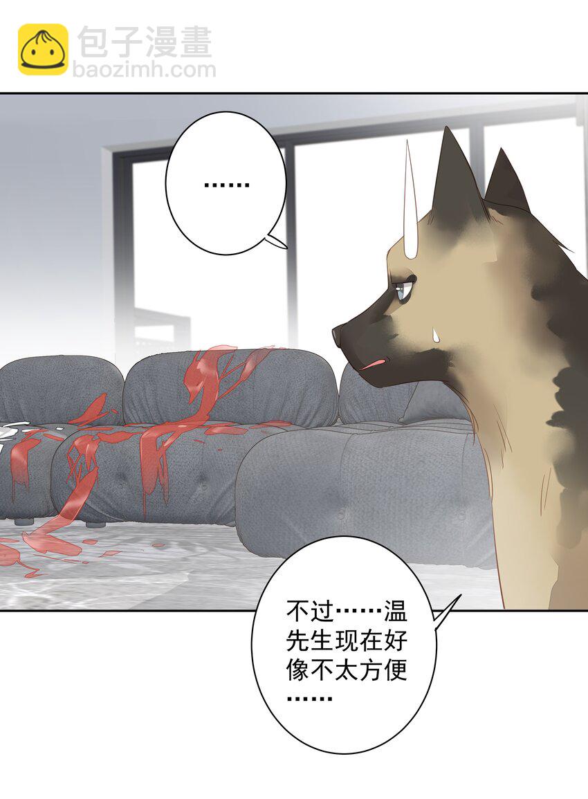 《早期驯服大猫的珍贵资料》058 黑背也化人了 第10页