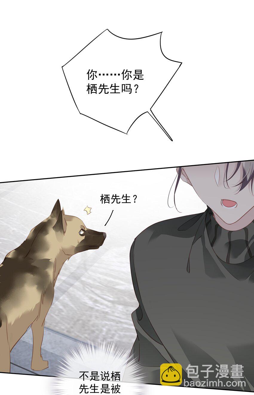 《早期驯服大猫的珍贵资料》058 黑背也化人了 第11页