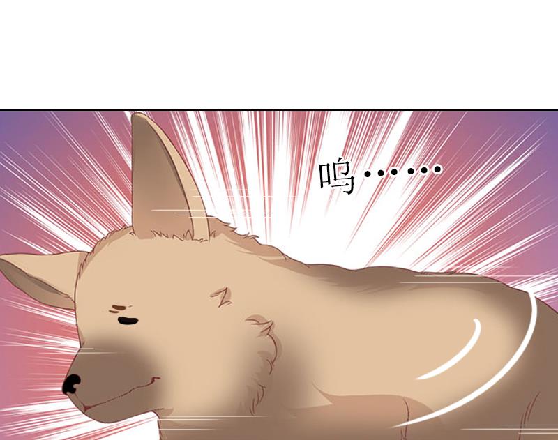 《婚然天成首席老公太放肆！》第56话 救人 第12页