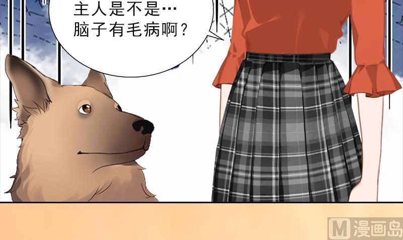 《婚然天成首席老公太放肆！》第57话 风少 第5页