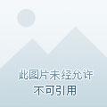 《我的天劫女友/我的双修道侣》535、空间禁制 第7页
