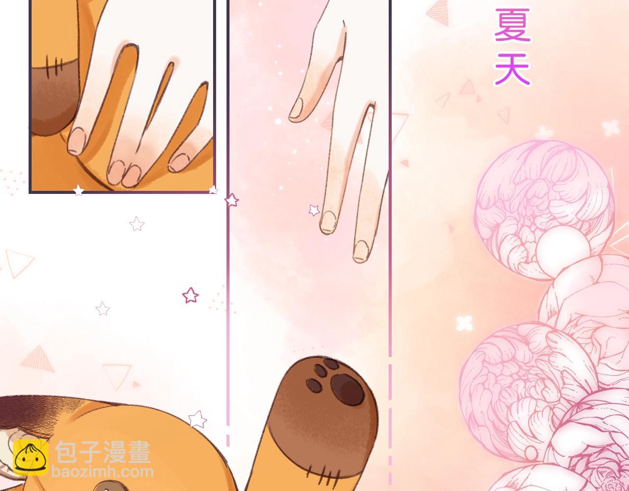 《偷偷藏不住-热播剧同名漫画》序章 偷偷第二季正式归回 第12页