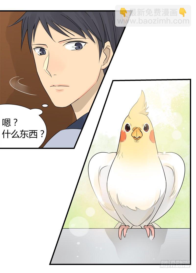《把我交给狼主任》第015话 拜托那是窗帘啊 第6页