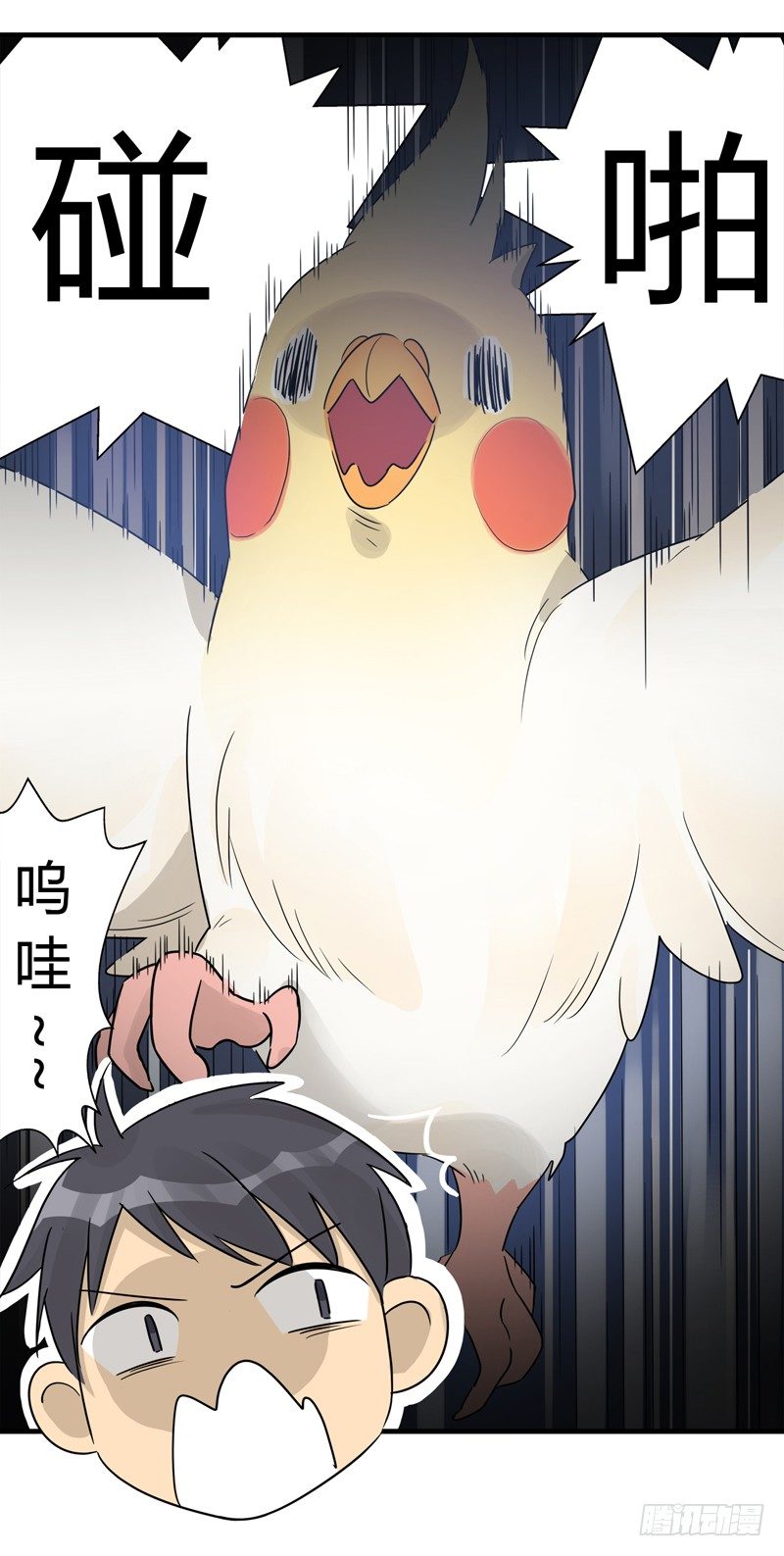 《把我交给狼主任》第015话 拜托那是窗帘啊 第7页