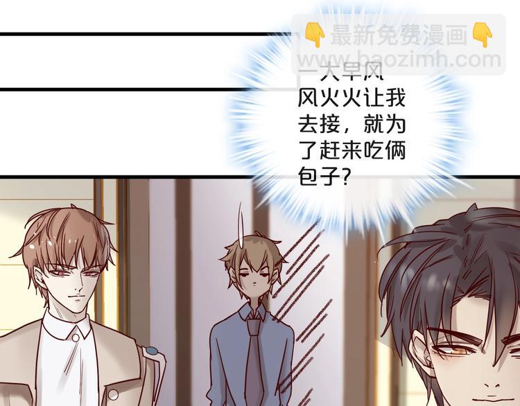 《您的亿万首席请签收》第22话 私人飞机 第29页