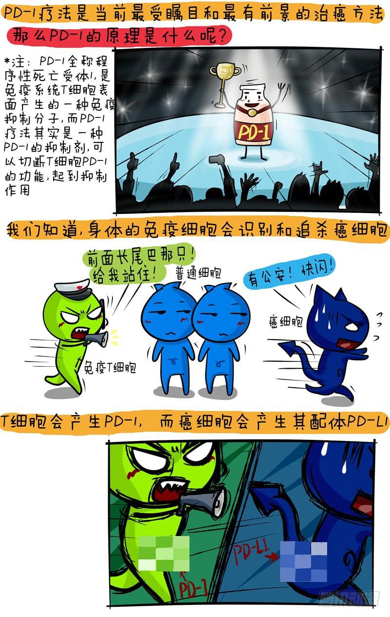 《丁神经与肿瘤君》第57话 PD1科普 第2页