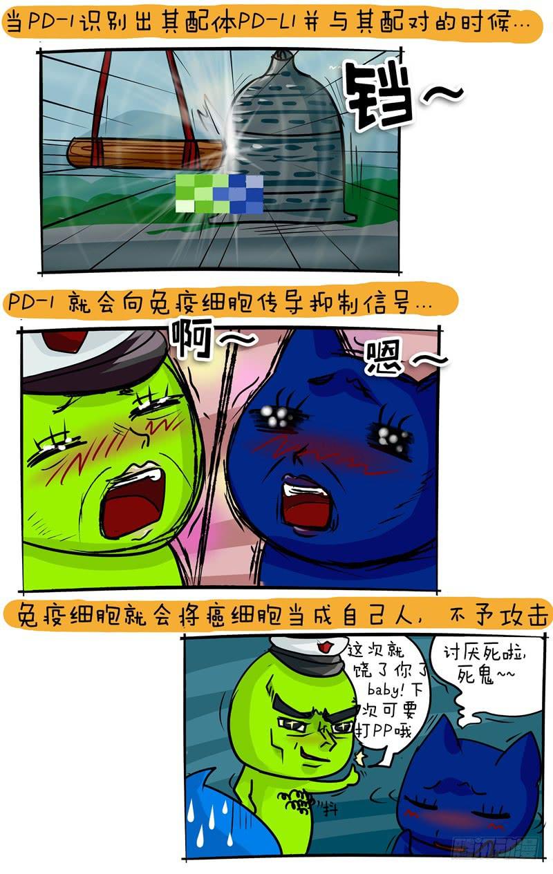 《丁神经与肿瘤君》第57话 PD1科普 第3页