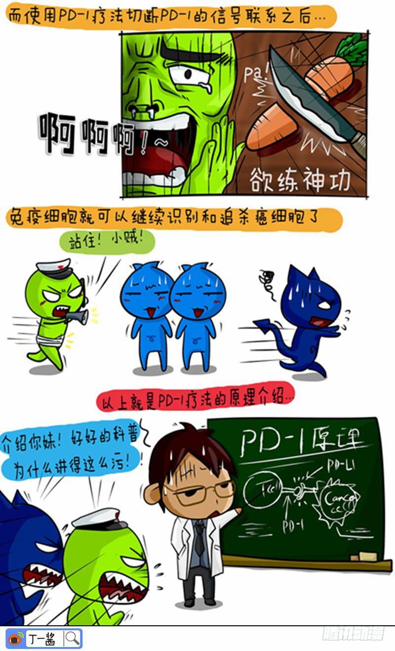 《丁神经与肿瘤君》第57话 PD1科普 第4页