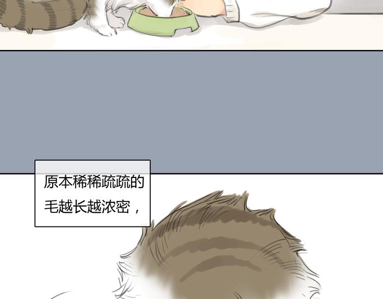 《十二点的灰姑娘》第24话 圣诞番外爱黏思勋的小灰的故事 第30页