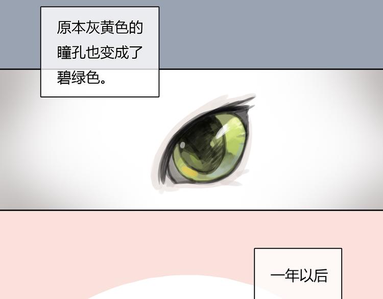 《十二点的灰姑娘》第24话 圣诞番外爱黏思勋的小灰的故事 第32页