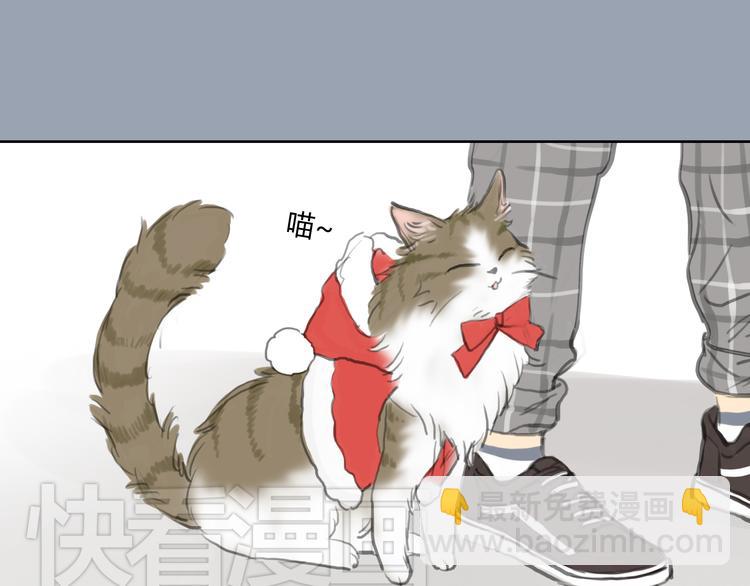 《十二点的灰姑娘》第24话 圣诞番外爱黏思勋的小灰的故事 第38页