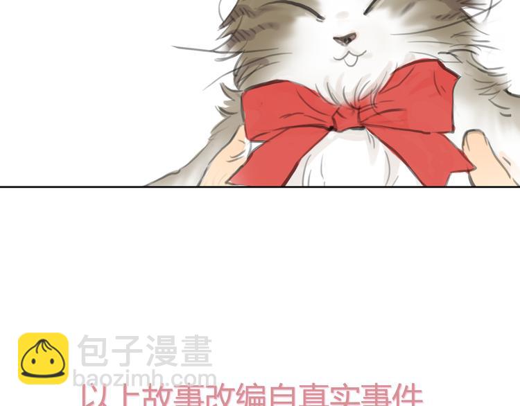 《十二点的灰姑娘》第24话 圣诞番外爱黏思勋的小灰的故事 第44页