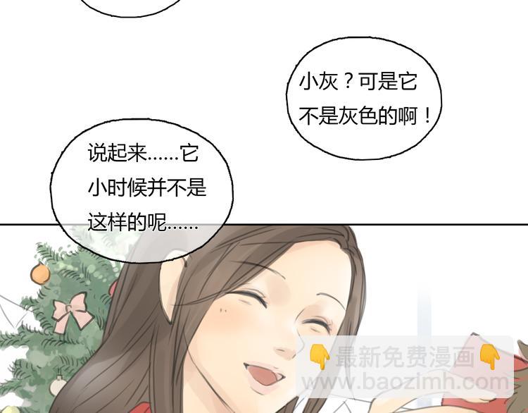 《十二点的灰姑娘》第24话 圣诞番外爱黏思勋的小灰的故事 第7页