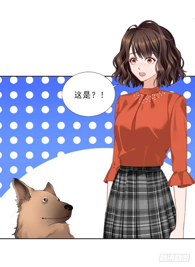 《墨少的千亿狂妻》第56话 救人 第9页