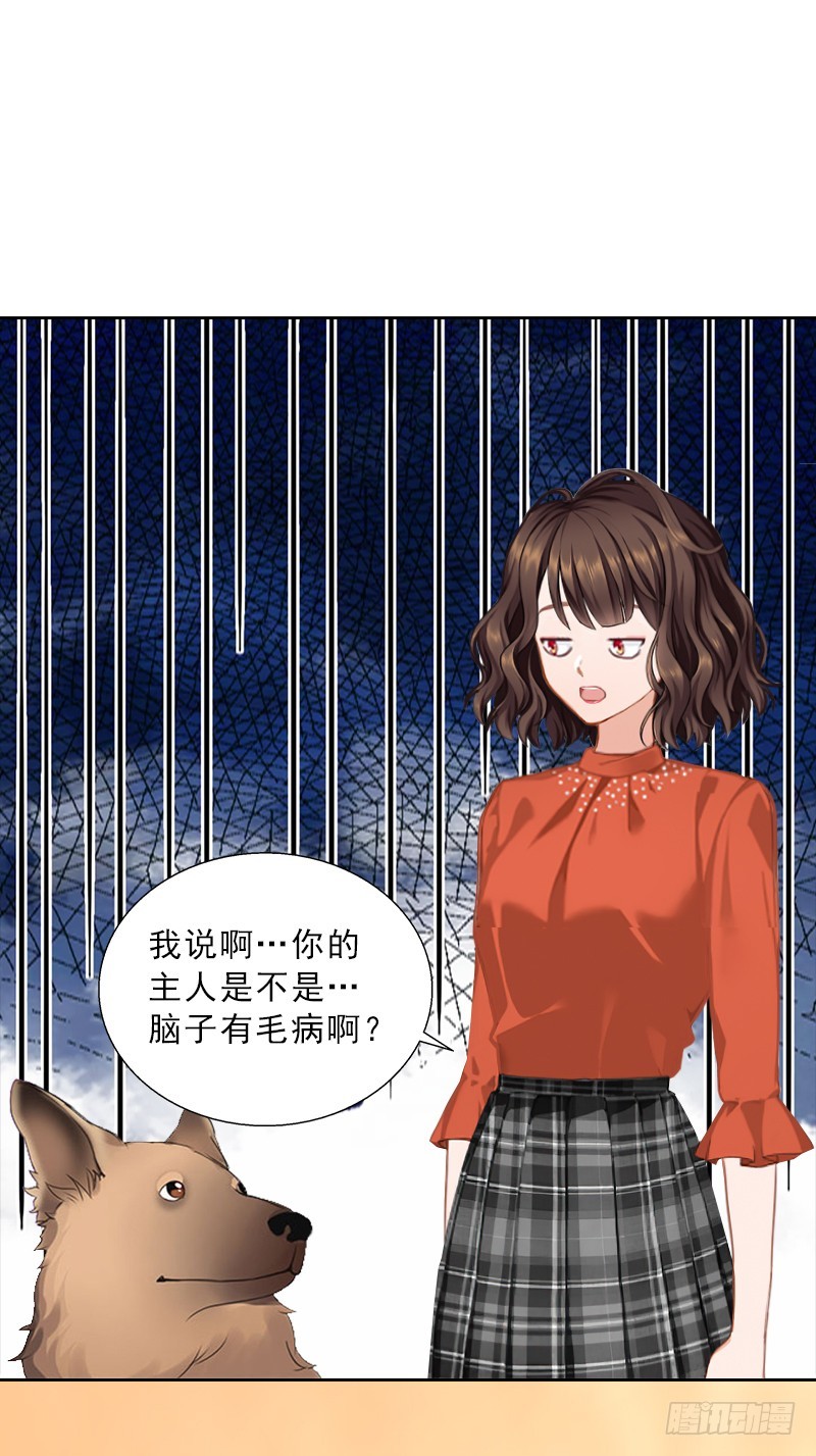 《墨少的千亿狂妻》第57话 风少 第3页