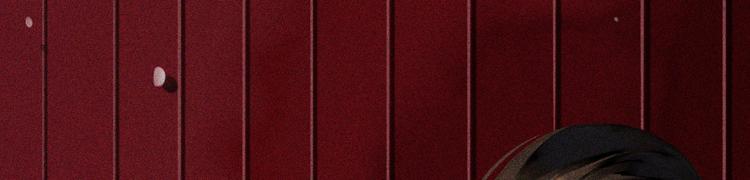 《将军请上榻》第七章 不要靠这么近 第31页