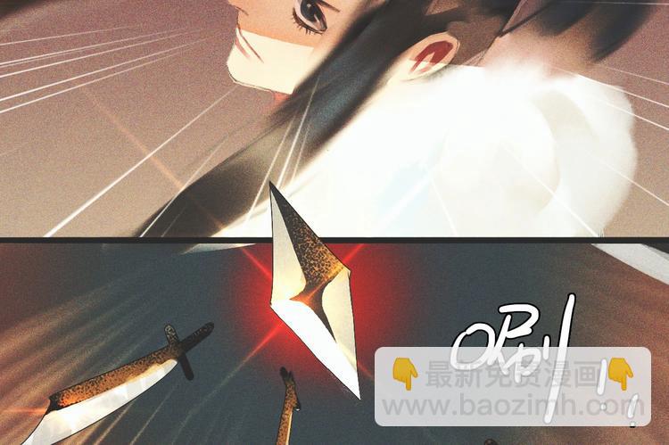 《将军请上榻》第十一章 刺客终于出现 第47页