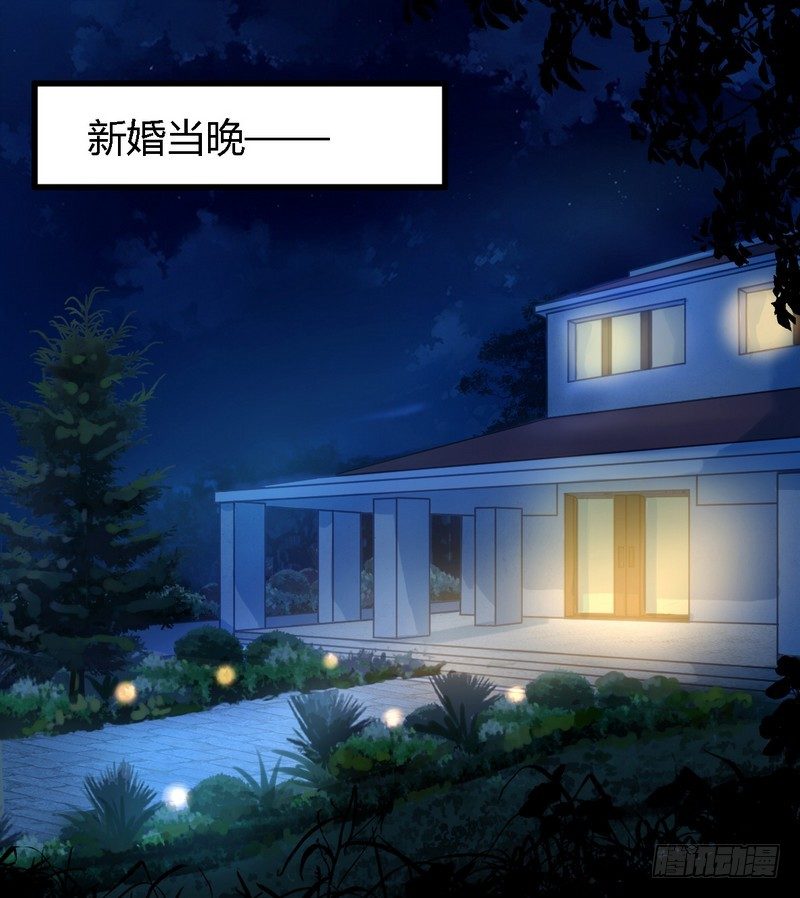 《一夜豪门总裁我已婚》002新婚夜的第三者 第1页