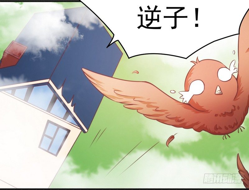 《一夜豪门总裁我已婚》014未婚妻……嗬嗬！ 第14页