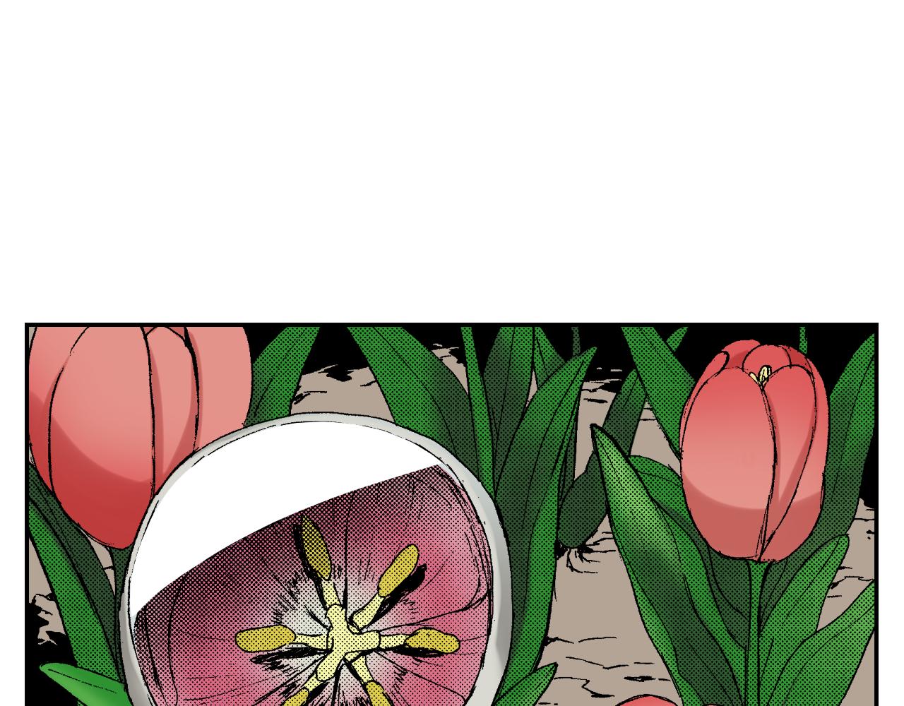 《琉璃宫梦幻古物店》第41话 放大镜（上） 第31页