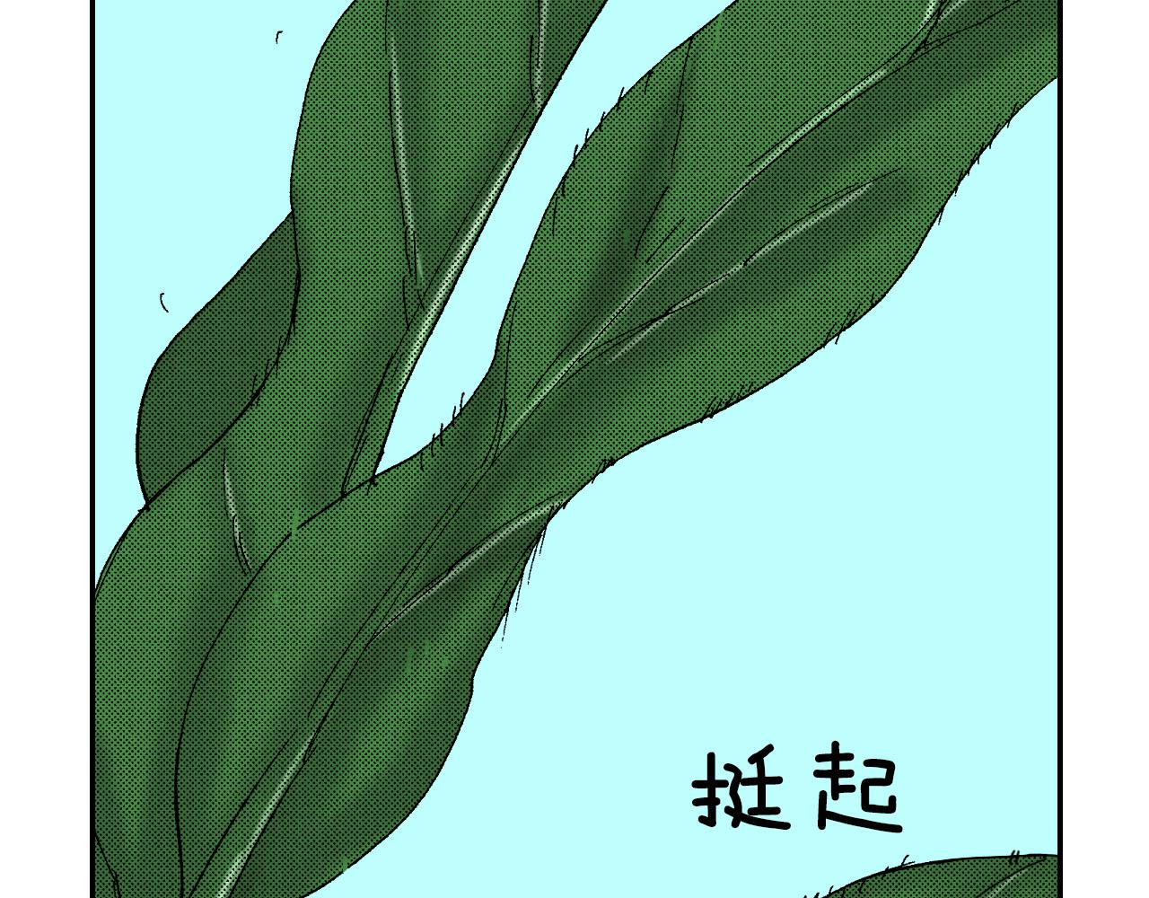 《琉璃宫梦幻古物店》第53话 花洒（下） 第12页