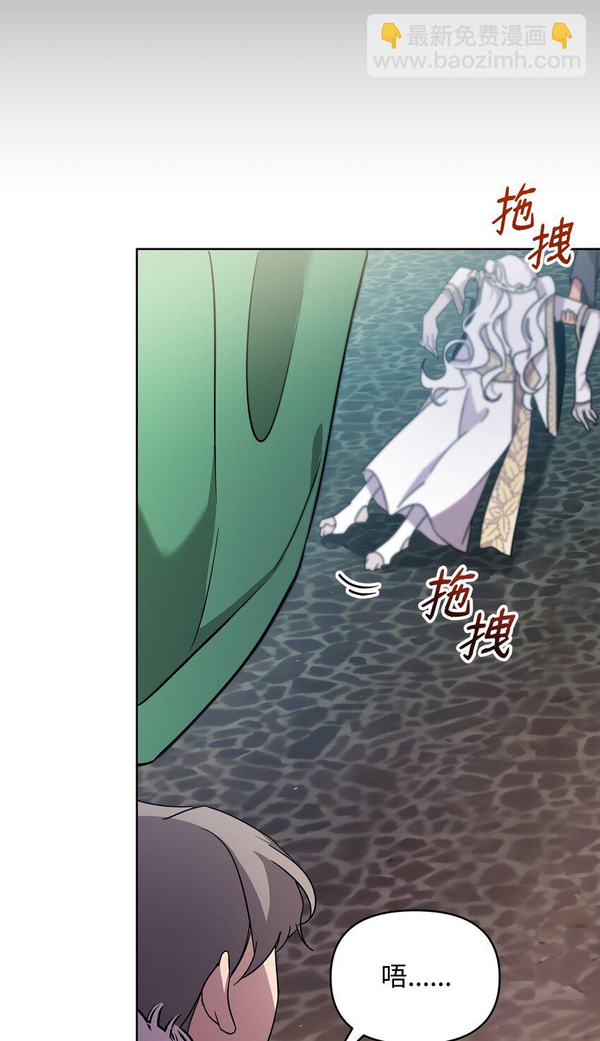 《召唤美男英雄的代价》14 希柏林的预言 第41页