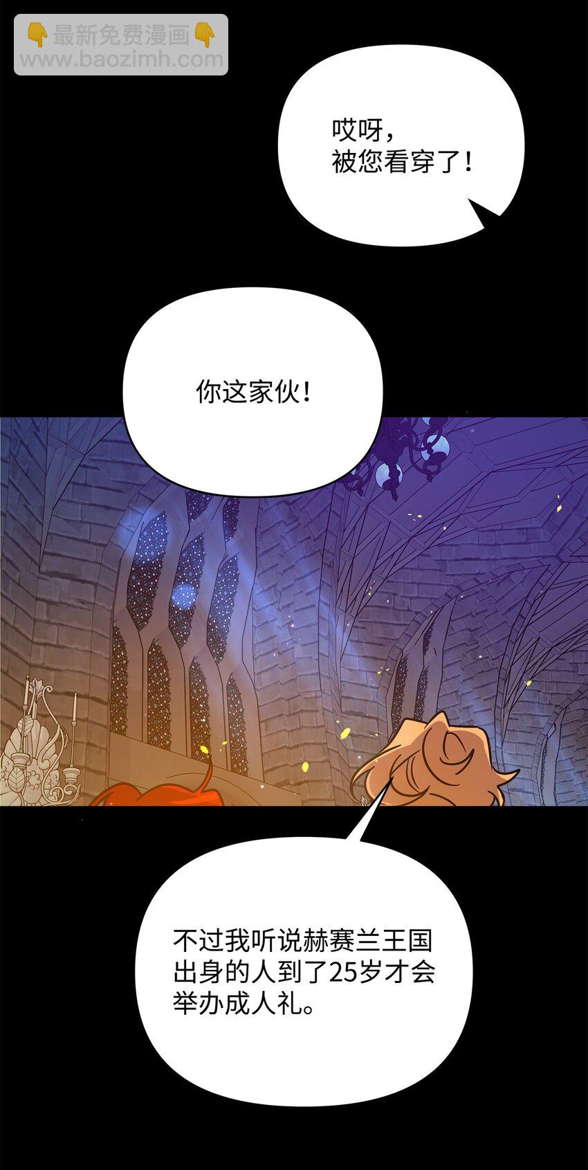 《召唤美男英雄的代价》35 天赋说明 第46页