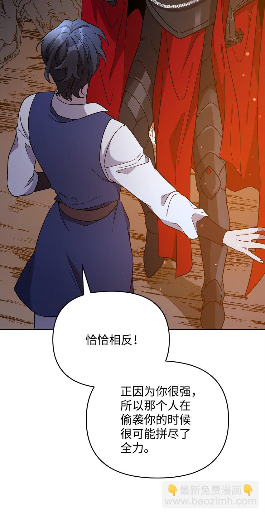 《召唤美男英雄的代价》46 帕尔扎安的死因 第28页