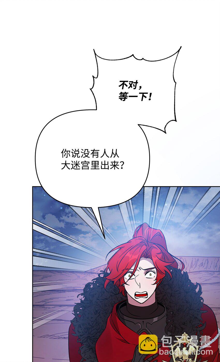 《召唤美男英雄的代价》46 帕尔扎安的死因 第36页