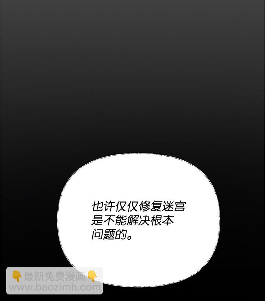 《召唤美男英雄的代价》46 帕尔扎安的死因 第41页