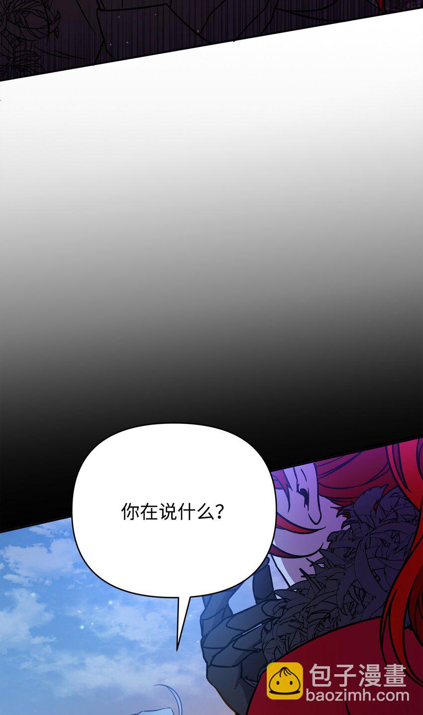 《召唤美男英雄的代价》46 帕尔扎安的死因 第5页