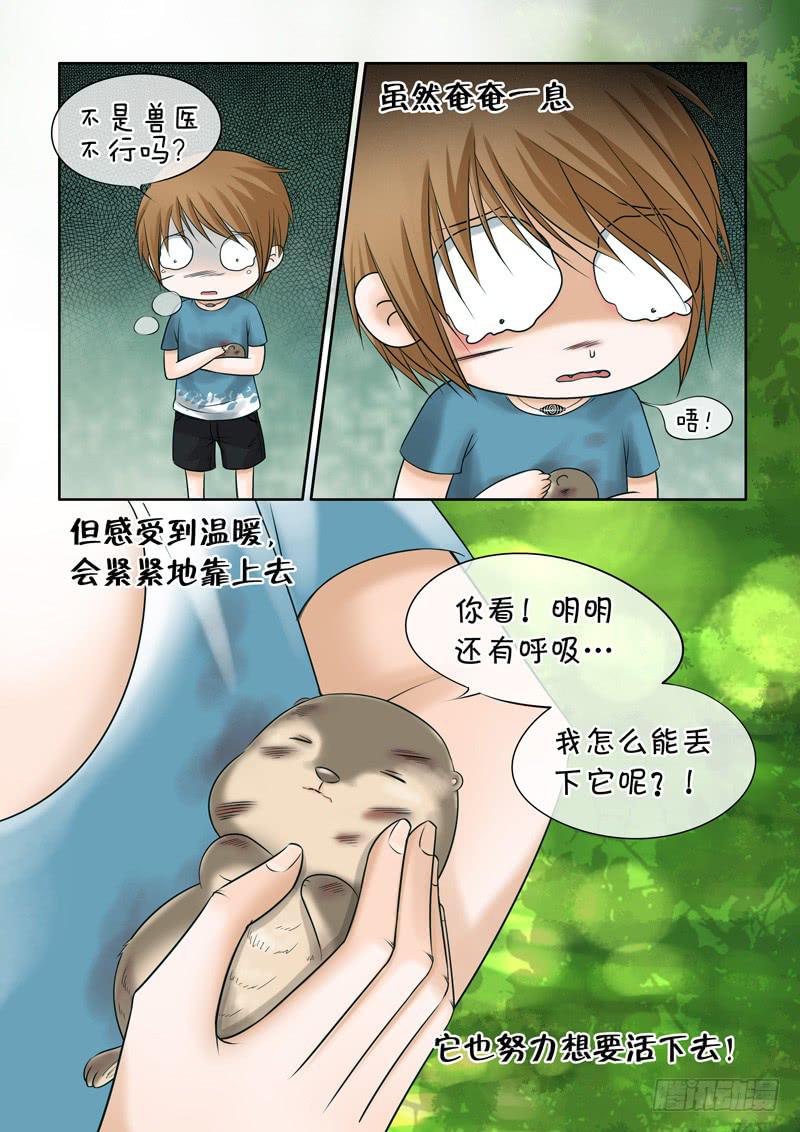 《妖山列传》41 肉丸1 第13页