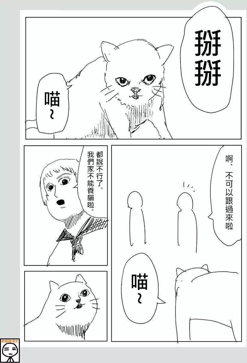 《一拳超人原作版》可爱的野猫 第6页