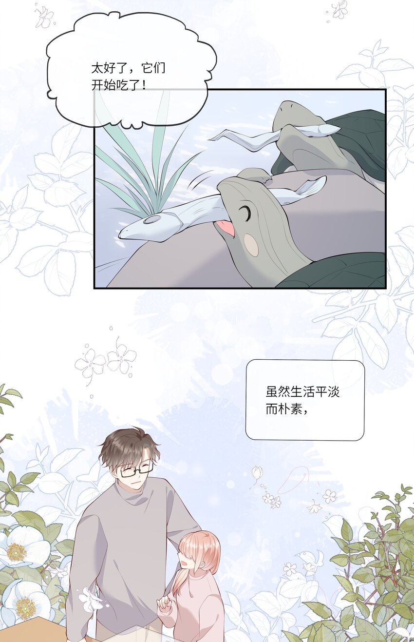 《请别那么骄傲》050 宁愿想要小乌龟 第36页