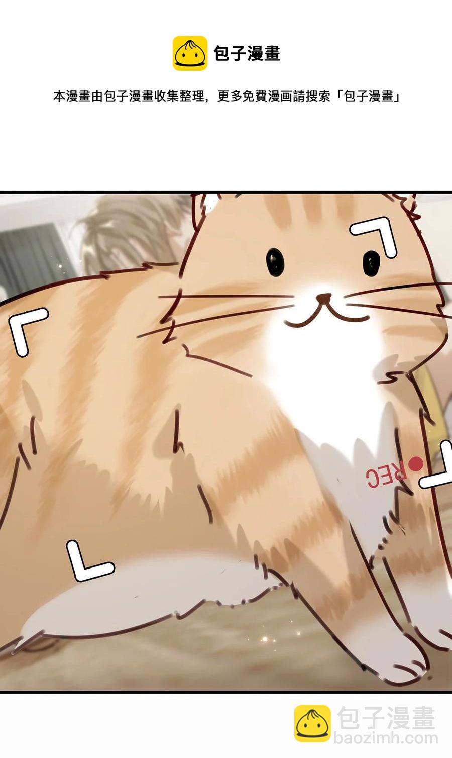 《我嗑了对家X我的CP》番外 一周年漫画独家专属番外 第47页