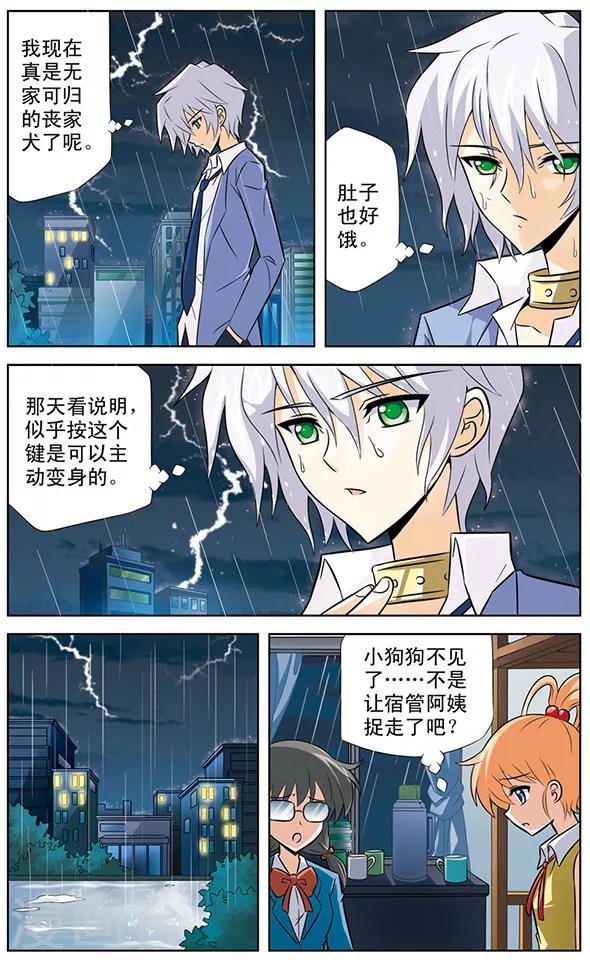 《追梦进行时》第29话 无家可归的狼青 第3页