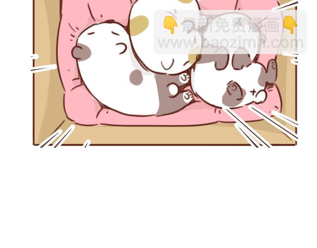 《再见，曾经喜欢的你《41厘米的超幸福》系列》第48话 出现了新…新阿姨？？ 第22页