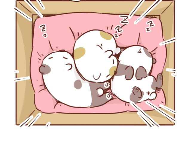 《再见，曾经喜欢的你《41厘米的超幸福》系列》第49话 妈妈的决定！ 第2页
