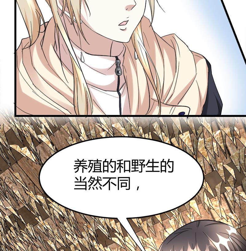 《都市狂少》第43话 黄鼠狼的气味！ 第39页