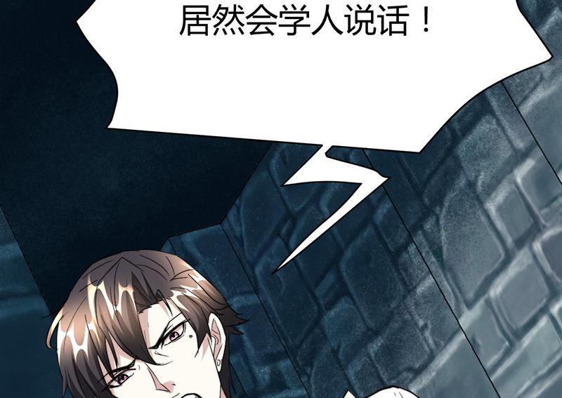 《都市狂少》第46话 黄皮子说人话！ 第20页
