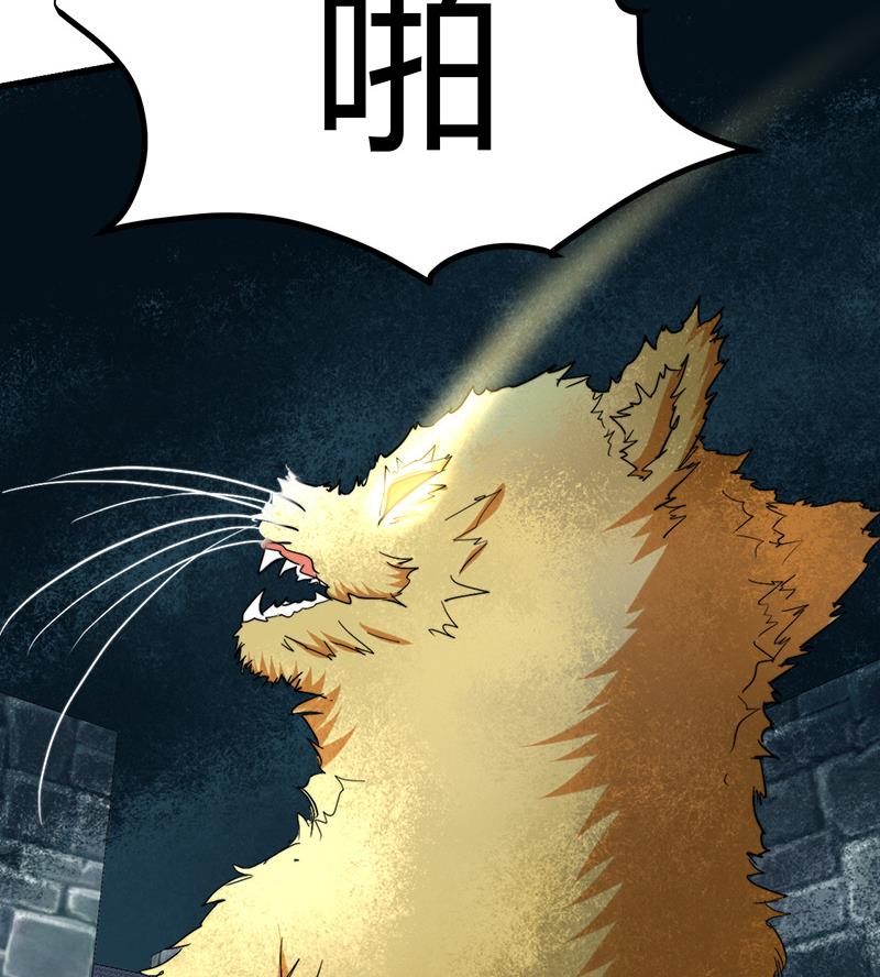 《都市狂少》第47话 不是林菲！ 第6页