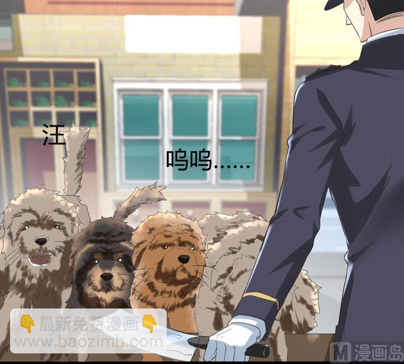《都市狂少》第68话 肉入獒腹！ 第43页