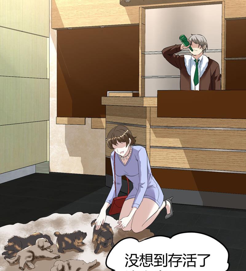 《都市狂少》第69话 就喜欢你的善解人意 第17页